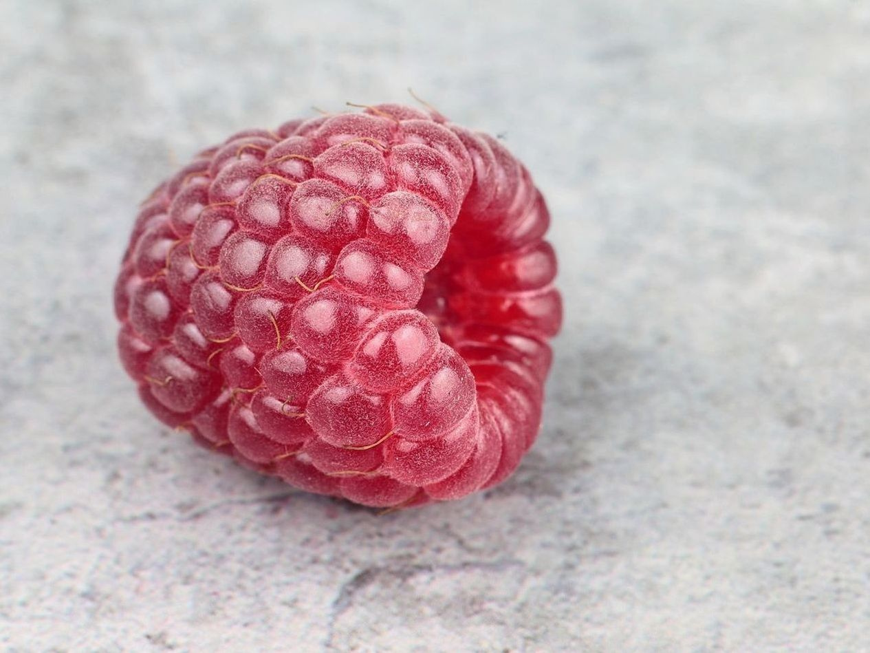 Premium Berry Grade